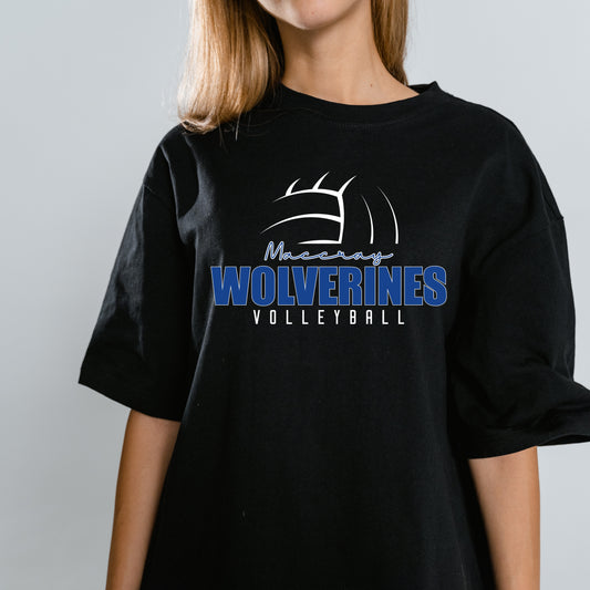 Volleyball
